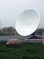 Eine große Satelliten-Empfangsantenne