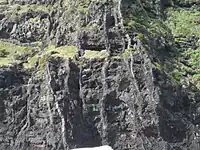 Vertical basalt dikes cutting horizontal lava flows, Lord Howe Island, Australia.