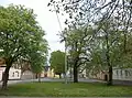 Anger de Beerendorf - Allemagne