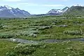 Sarek National Parc, Sveden