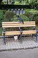 Unterteilte Bank / Partition bench