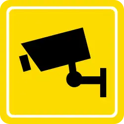 30px