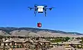Drone