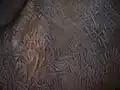 Stone Age drawings, Edakkal Caves