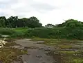 abandoned:*=*