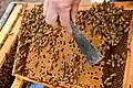 food:product=honey