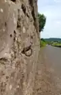 amenity=animal_hitch + horse=designated + animal_hitch=ring + disused=yes