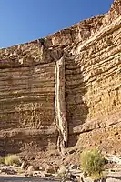A magmatic dike (vertical) cross-cutting horizontal layers of sedimentary rock, in Makhtesh Ramon, Israel.