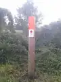 Pfahl