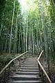 Stairway handrails at the bambuseae of Juknogwon, South Korea