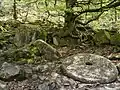 Peak District, UK