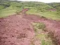 Small mudflow beneath Craig Pwllfa