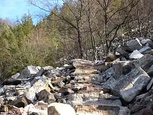 Natural rock, with nearly no processing used to pave a mountainous path. The best tagging of that is likely highway=steps + surface=rock