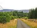Unclassified road through the forest