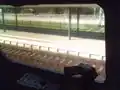 rapid transit