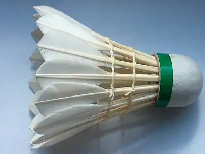 Shuttlecock or Federball