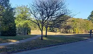 Manicured area