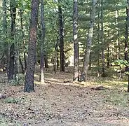 Foot path