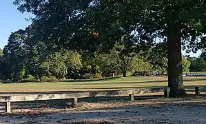 Open field