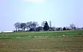 Šingaliai homestead