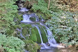 Paljanska Miljacka source at Gornje Pale, under the slopes of Jahorina