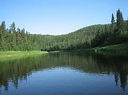 Pizhma River, a left tributary of the Pechora River, in Ust-Tsilemsky District