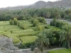Irandegan District