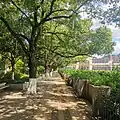 Longjin park (龙津公园), in the distance is the Jingyun Pedestrian Bridge (景云桥) built in European style
