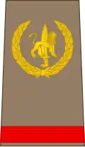 Soldat de 1re classe (Congolese Ground Forces)[14]