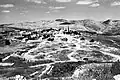 Tzora 1949