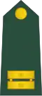 Poročnik (Slovenian Ground Force)[11]