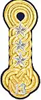 Shoulder mark m/1910 (13 = Dalarna Regiment)
