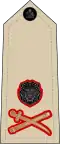 Lieutenant general (Malawi Army)