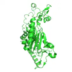 Ribbon diagram of the 1ZTB structure.