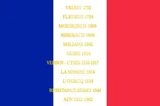 Regimental flag