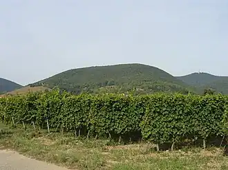 The Breitenberg