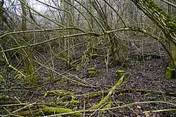 Its slag heap