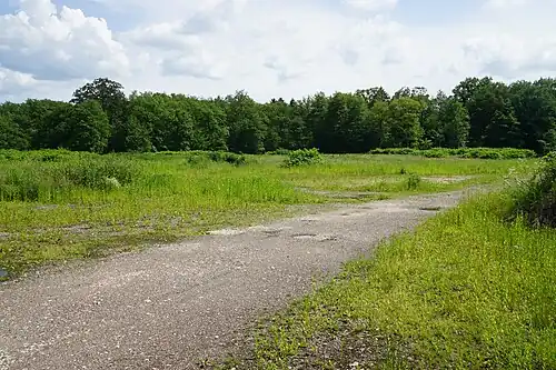 General view of the well site