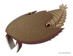 Reconstruction