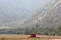 Fire retardant for helicopters.