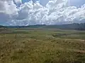 The stonefields at Tāpapakanga