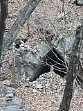 Gongju-gul (Princess Cave)