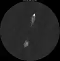 3C 223 observed in radiowaves