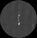 3C 449 in radiowaves by the NRAO VLA Archive Survey