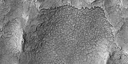 high center polygons seen by HiRISE under HiWish program