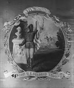 45th US Colored Troops banner