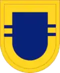 2/504th PIR Beret Flash