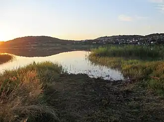 On Tihany Peninsula