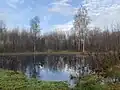 Duck pond