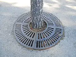 Tree pit.